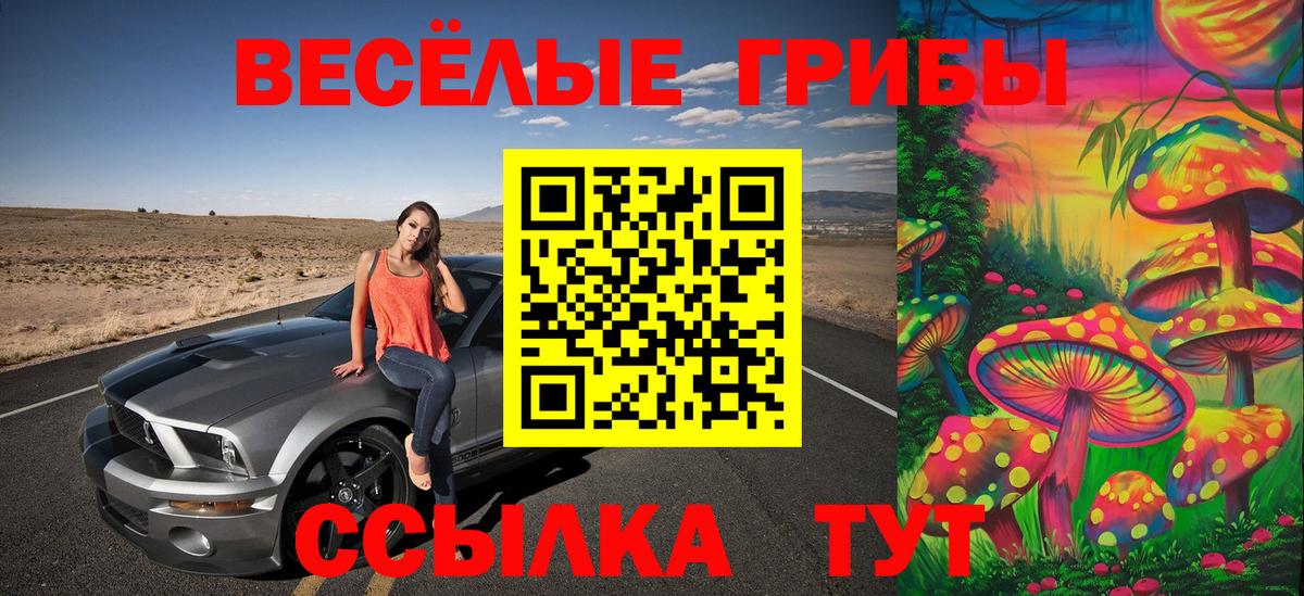 Обь  Псилоцибиновые грибы Cubensis  Псилоцибиновые грибы Cubensis  Вход с VPN 